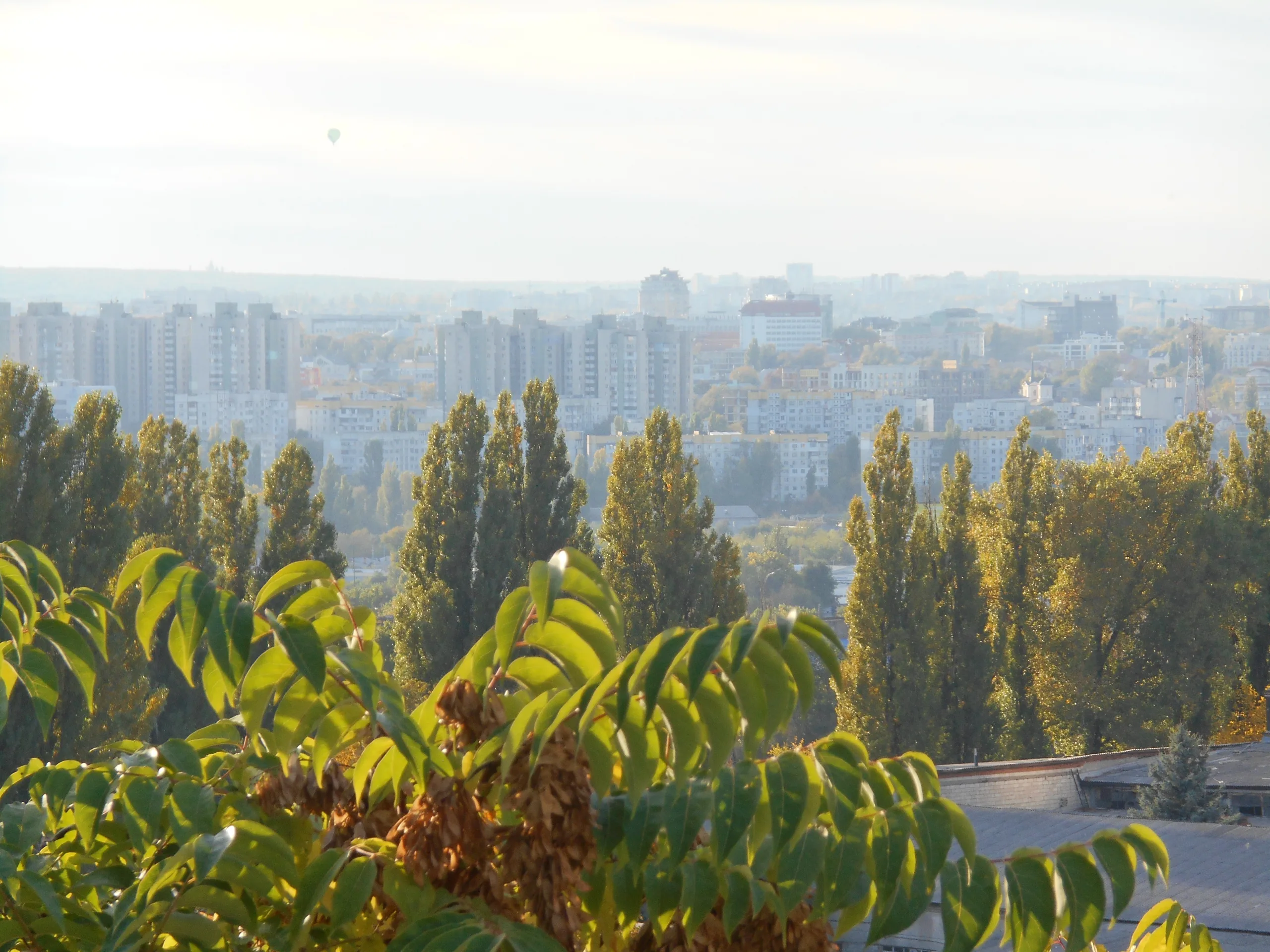 Чеканы