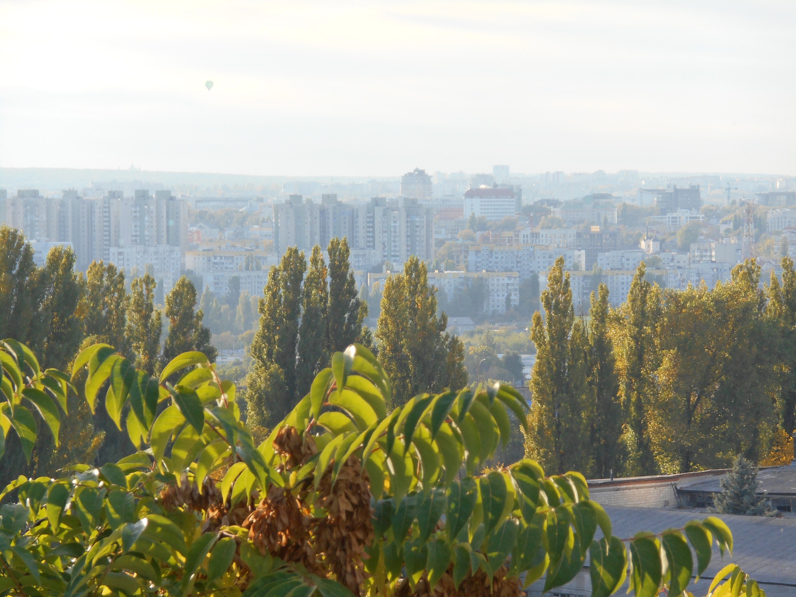 Чеканы