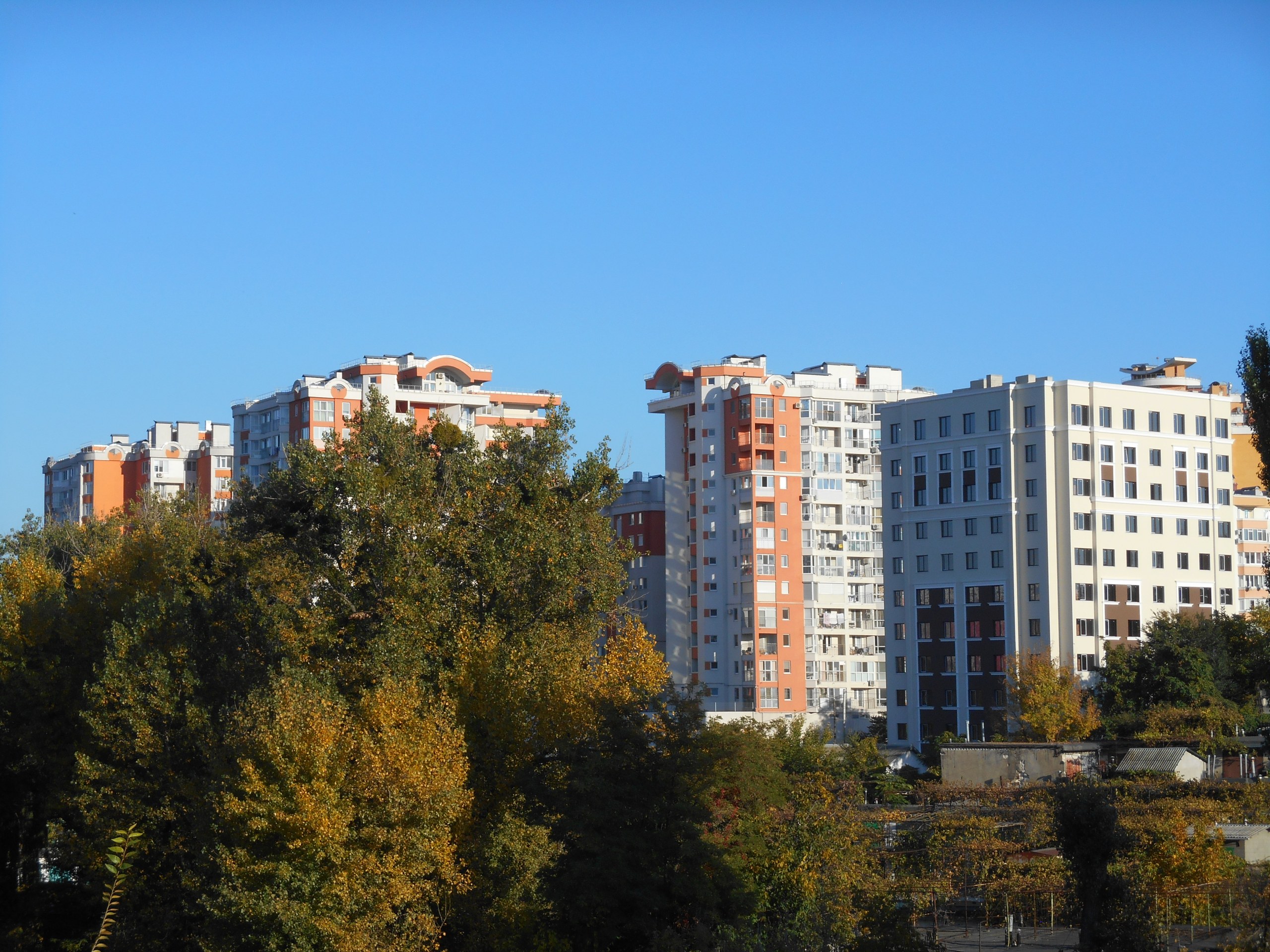 DSCN0585