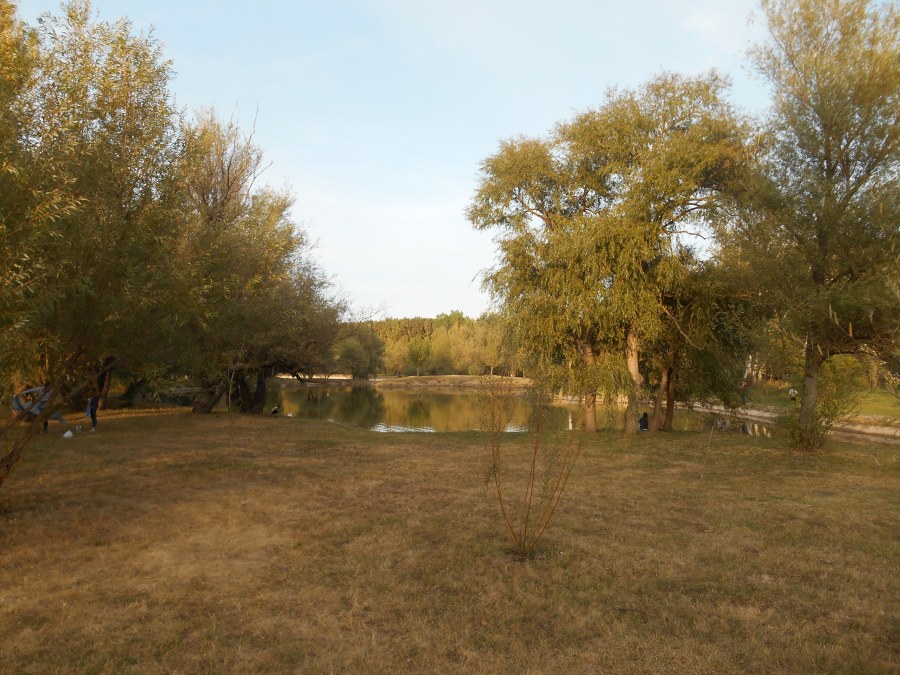 DSCN1868